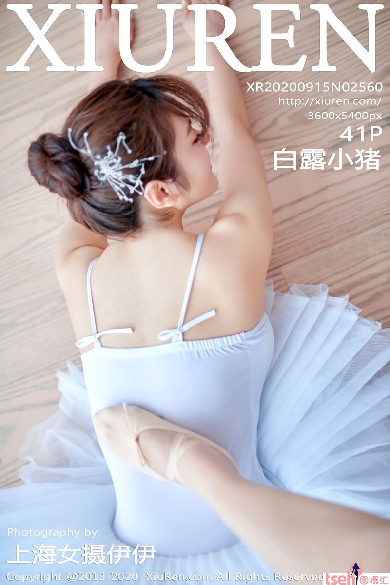 [XiuRen秀人网] 2020.09.15 No.2560 白露小猪 [41+1P-383M]-图摄汇